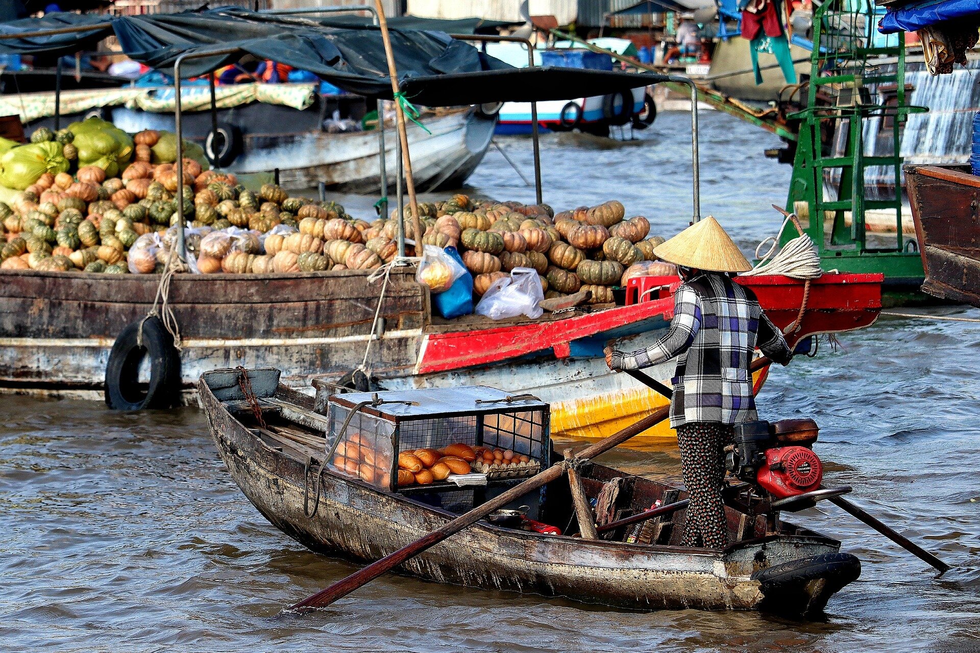 Start your Ca Mau Travel with serene vistas